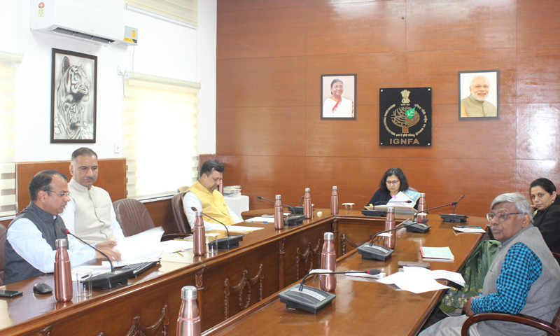 गतिविधि छवि - 3