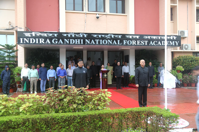 Independence Day 2025