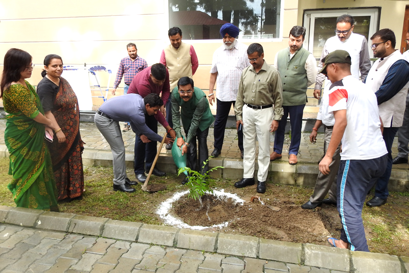 Tree plantation and singing of the National Song and National Anthem to celebrate the Independence Day 2026