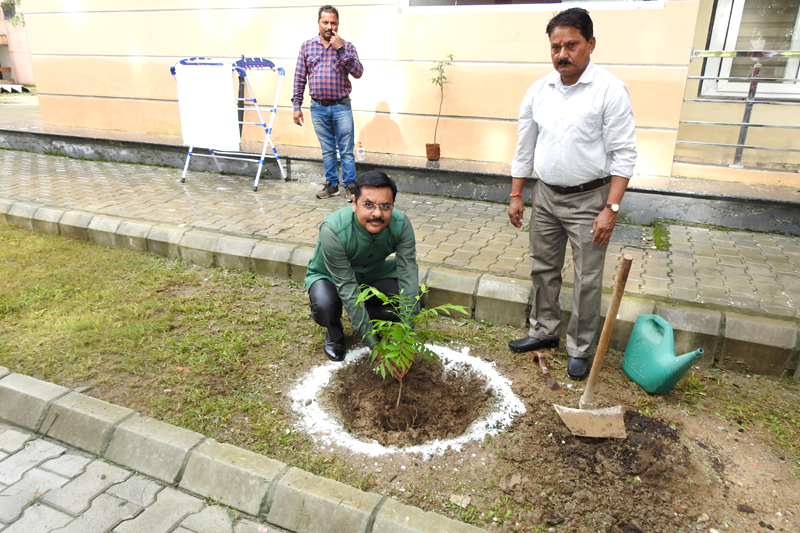 Tree plantation and singing of the National Song and National Anthem to celebrate the Independence Day 2026-2