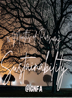 16 Months of Pursuing Sustainability at IGNFA